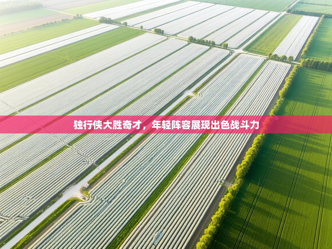 独行侠大胜奇才，年轻阵容展现出色战斗力