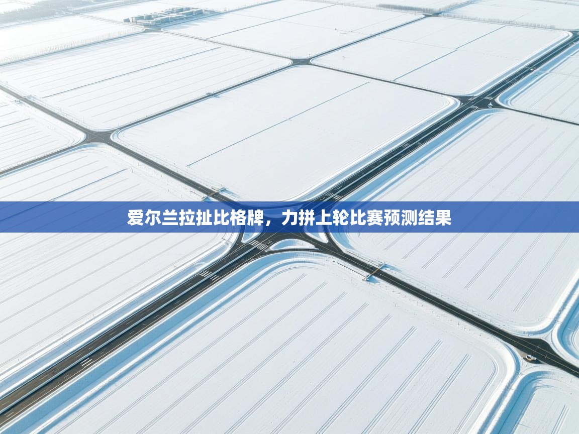 爱尔兰拉扯比格牌，力拼上轮比赛预测结果